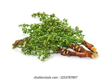 Siamese neem tree, Nim, Margosa, Quinine, (Azadirachta indica). A bouquet of neem flowers on a white background, a plant native to India, is blanched in sweet fish sauce. - Shutterstock ID 2253787897