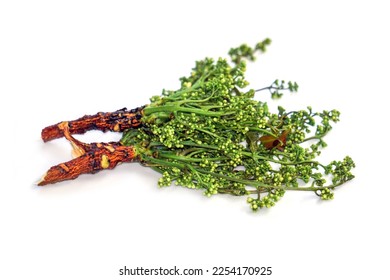Siamese neem tree, Nim, Margosa, Quinine, (Azadirachta indica). A bouquet of neem flowers on a white background, a plant native to India, is blanched in sweet fish sauce. - Shutterstock ID 2254170925