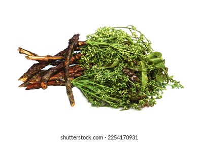 Siamese neem tree, Nim, Margosa, Quinine, (Azadirachta indica). A bouquet of neem flowers on a white background, a plant native to India, is blanched in sweet fish sauce. - Shutterstock ID 2254170931