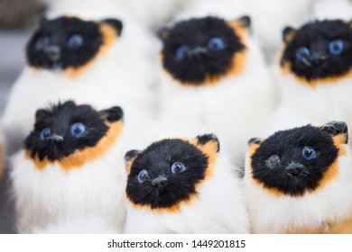 Siamese Toy Fluffy Cats. Many Identical Kittens