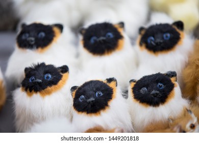 Siamese Toy Fluffy Cats. Many Identical Kittens