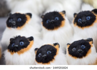 Siamese Toy Fluffy Cats. Many Identical Kittens