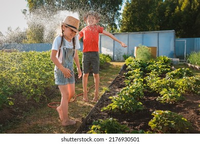 Sibling Children Frolic Splashing With A Water Hose In The Backyard In The Garden On Summer Holidays In The Village On A Hot Day. Friends Fun