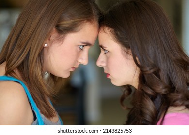 Sibling rivalry. Cropped shot of two sisters standing face to face in the midst of an argument.