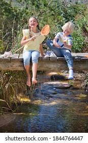 Siblings Laughing While Sitting On A Wooden Bridge Over A Stream With A Fishing Net