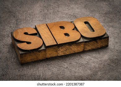 SIBO (small Intestinal Bacterial Overgrowth) - Word Abstract In Vintage Letterpress Wood Type, Digestion And Gut Health Concept