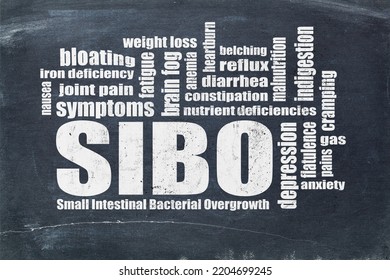 SIBO (small Intestinal Bacterial Overgrowth) Symptoms - Word Cloud With White Chalk Text On A Blackboard, Gut Health Concept