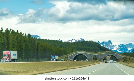 Sicamous - British Columbia - Canada - Jun 02 2018: Banff National Park Animal Bridge On Trans-Canada Highway Hwy