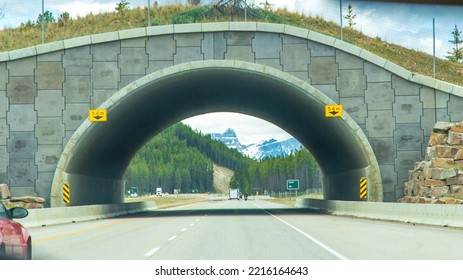 Sicamous - British Columbia - Canada - Jun 02 2018: Banff National Park Animal Bridge On Trans-Canada Highway Hwy