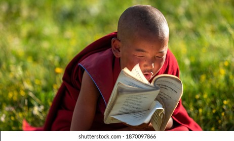 Sichuan, China. July 27, 2015. Seda Wuming Tibetan Buddhist College. One sunny summer day, a little monk lay on the green grass and read Buddhist scriptures seriously.