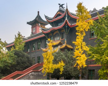 Sichuan University Campus Autumn Scene