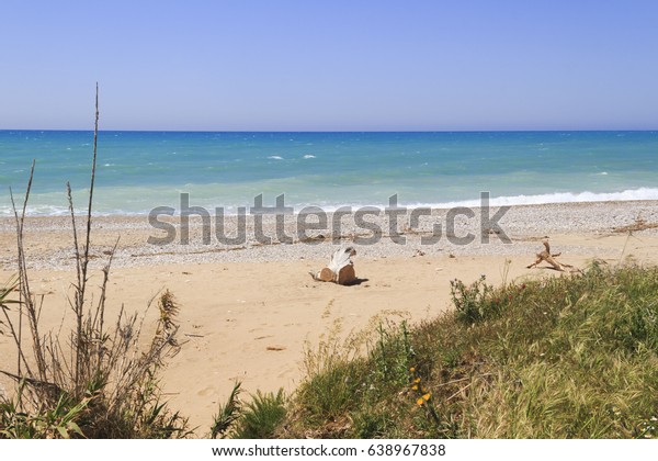 A Sicilian beach with\
beach property