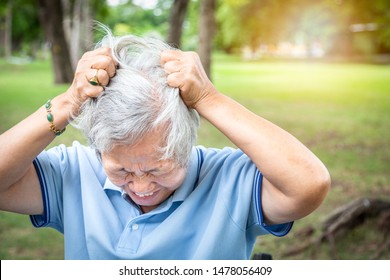 Sick Asian Senior Woman Suffering From Headache,depression Having Nervous,mental Health Disorder Or Bipolar, Pulling Her Hair In Crazy Stress,elderly Person Stressed And Hurt Herself,angry Emotional