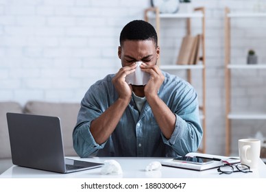 Sick Black Guy Working In Office, Sitting At Laptop And Blowing Nose In Paper Napkin Indoors. Ill Employee Concept. African Man Having Cold, Rhinitis And Sinusitis Symptoms At Work. - Powered by Shutterstock