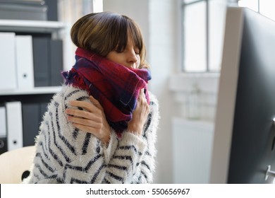 Sick Businesswoman With Winter Chills And A Fever Sitting Shivering In The Office Wrapped In A Thick Woolly Winter Scarf