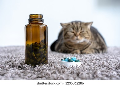 Sick  Cat Medicines For Sick Pills Spilling Out Of Bottle