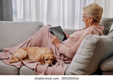 Sick Elderly Woman Lying Down On Sofa With Dog And Using Tablet For Entertainment Or Online Doctor Consultation, Suffering From Seasonal Flu Or Cold. Ill Senior Feel Unhealthy With Influenza At Home