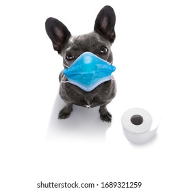 Download Dog Face Mask Images Stock Photos Vectors Shutterstock PSD Mockup Templates