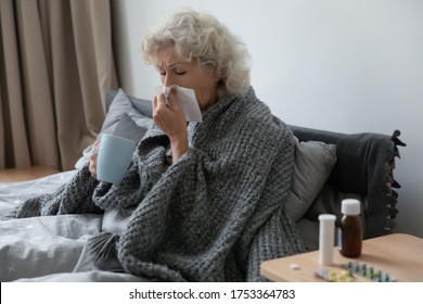 Sick Older Woman Sit In Bed Blow Running Nose, Suffer From Flu Or Cold At Home, Ill Mature Female Feel Unhealthy Struggle With Influenza, Sneeze Or Snuffle Under Blanket, Elderly Healthcare Concept