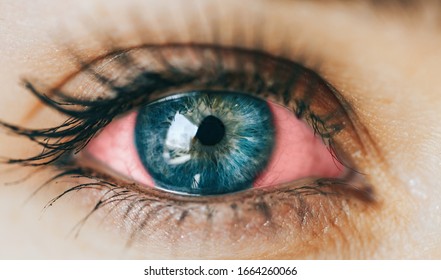 人間目 Images Stock Photos Vectors Shutterstock