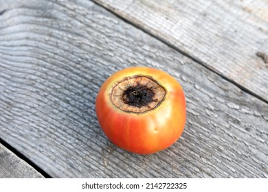 Sick tomato fruit affected by disease vertex rot on wooden background - Shutterstock ID 2142722325