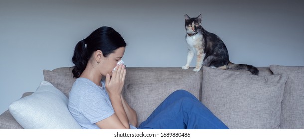 Sick Young Woman Sitting On Sofa At Home With A Cat. Animal Allergy Concept