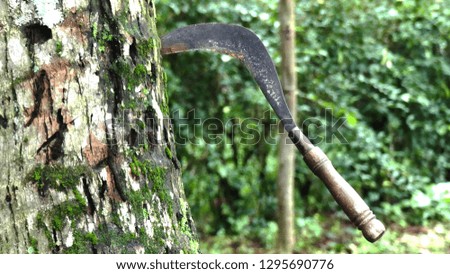 sickle stuck in the tree