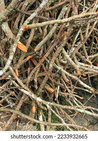 Sicks and twigs, wood bundle. Kayu Bakar - Shutterstock ID 2233932665