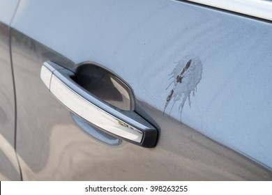 Side door car gray with feces bird sticky