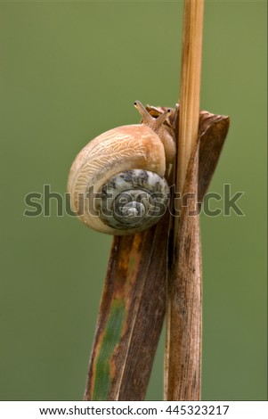 Similar – Foto Bild Wohnmobil Umwelt Natur