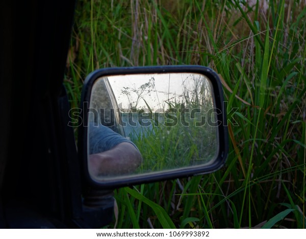 Side mirror reflect man put arm on window in\
the car and surrounded by tall\
grass