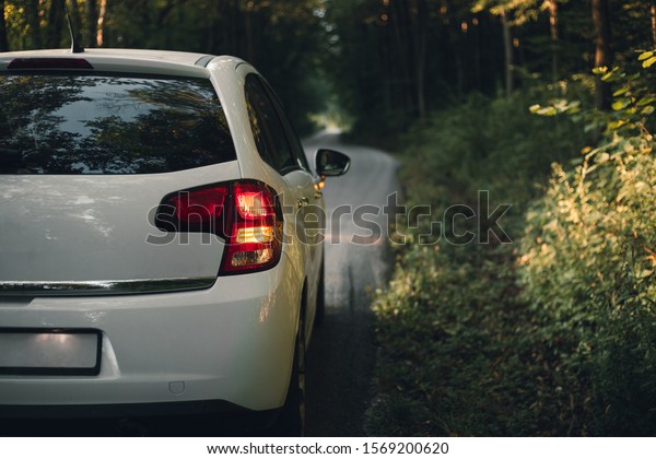 Side mirror turn signal (blinker). Turn\
indicator on the mirror (right) and white car on the road in autumn\
dark forest. Illuminated car standing on the edge of the way in\
forest - natural sunlight.