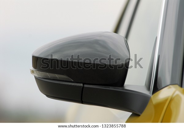 Side mirror with turn\
signal of a car