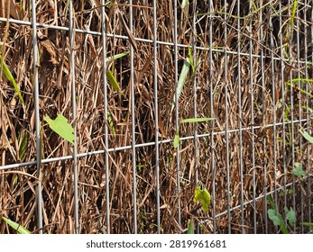 Side perspective view of a welded wire mesh fence with dense dry brown grass behind it.