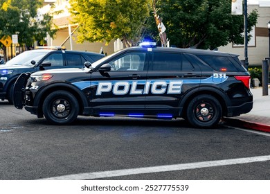 Side of a police car with blue lights