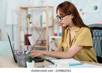 side portrait of beautiful asian businesswoman working on the computer with concentration at desk in the office.