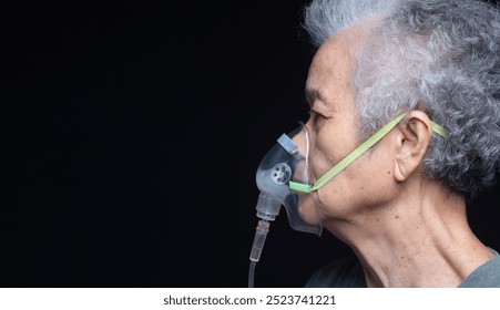 Side profile of an elderly woman wearing an oxygen mask, illustrating respiratory support and healthcare needs for seniors. - Powered by Shutterstock