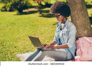 Side profile photo of black skinned focused girl typing on laptop reading learning outside the green city park wearing casual jeans outfit