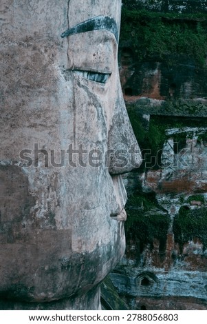 Side profile view of the colossal stone head of the Leshan Giant Buddha carved out of a red sandstone cliff face.