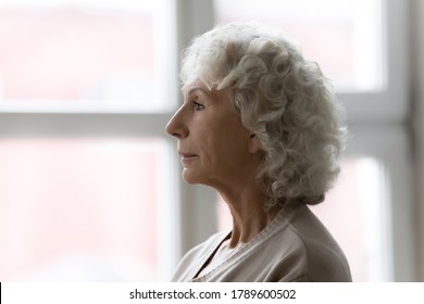 Side Profile View Face Of Elderly Serious Grey Haired Female Standing Indoors Near Window. Age-related Natural Changes Aging Process Of Women, Geriatrics Branch Of Medicine, Senile Diseases Concept