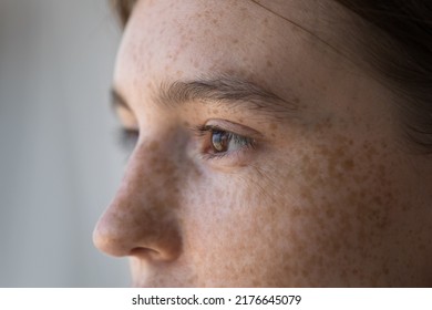 Side profile view face of freckled serious pensive woman staring aside. Close up cropped image of thoughtful young 18s female looking into distance. Concept of vision care, eyesight check up in clinic