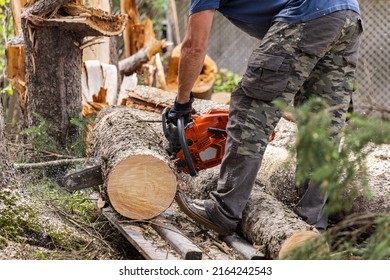 Side profile view on the lower half of a tree surgeon at work, using a powerful chainsaw to slice the trunk of a mature pine tree. With copy space. - Powered by Shutterstock