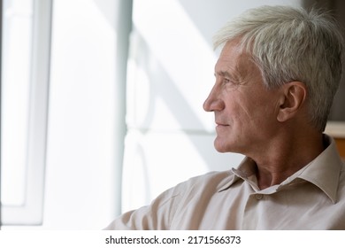 Side profile view serious pensive senior single man sit indoors staring out window, copy space. Recall, memories, remembers past, resting on retirement. Midlife, pensioner portrait, nostalgia concept - Shutterstock ID 2171566373