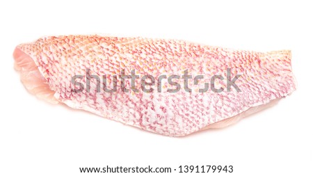 Side of Red Snapper Isolated on a White Background