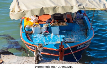 Side, Turkey - February 5, 2022: Fishing boat in harbour with catch of the day and local cat awaiting his share.