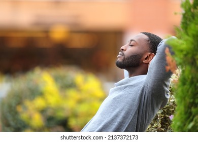 Side vie wportrait of a relaxed man with black skin resting in a park