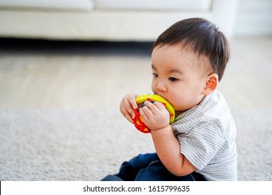 Side View Of Adorable Serious Calm Asian Toddler Boy In Striped Shirt And Jeans Sucking Colorful Toy While Sitting On Carpet At Home