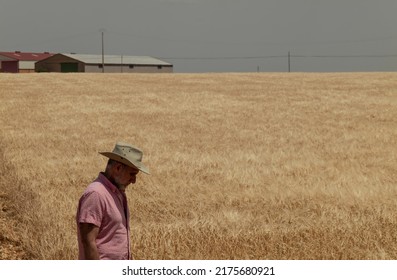 Side View Of Adult Man In Cowboy Hat In Wheat Field