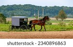 A Side View of an amish Horse and Buggy Passing on a Country Road on a Sunny day