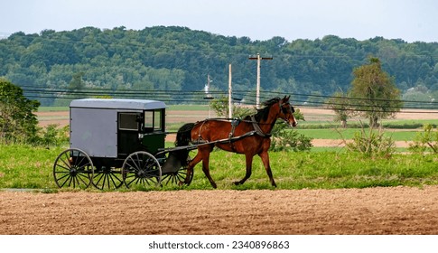 A Side View of an amish Horse and Buggy Passing on a Country Road on a Sunny day